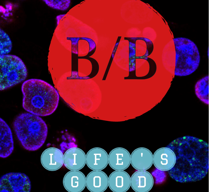 B/B Introduction: Life’s Good Stuff